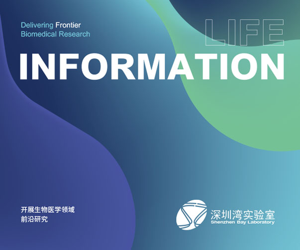 上海設(shè)計公司如何結(jié)合企業(yè)品牌設(shè)計打造專業(yè)的企業(yè)介紹畫冊